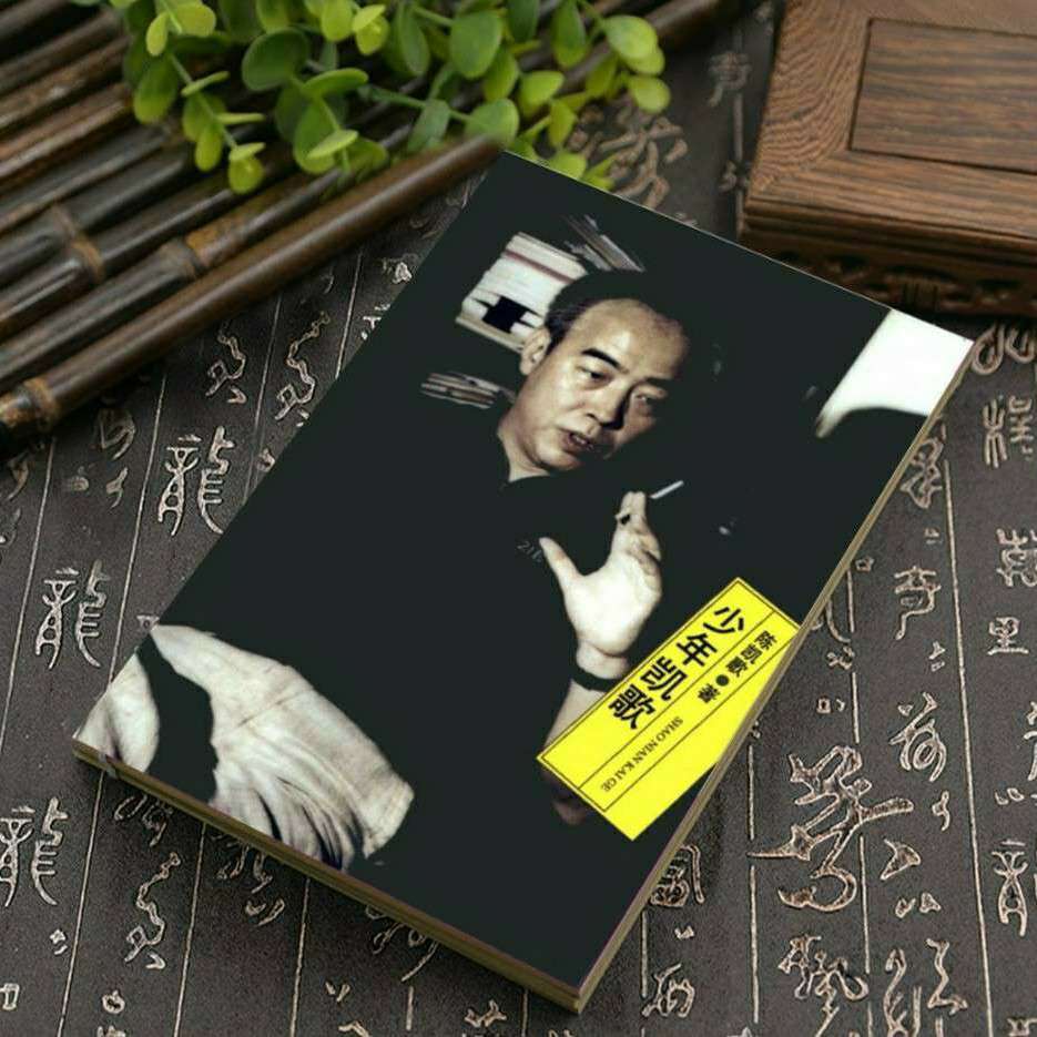 《少年凯歌》