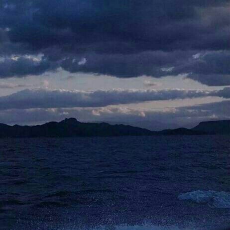 心崽.的专辑