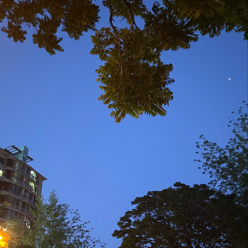 治愈系