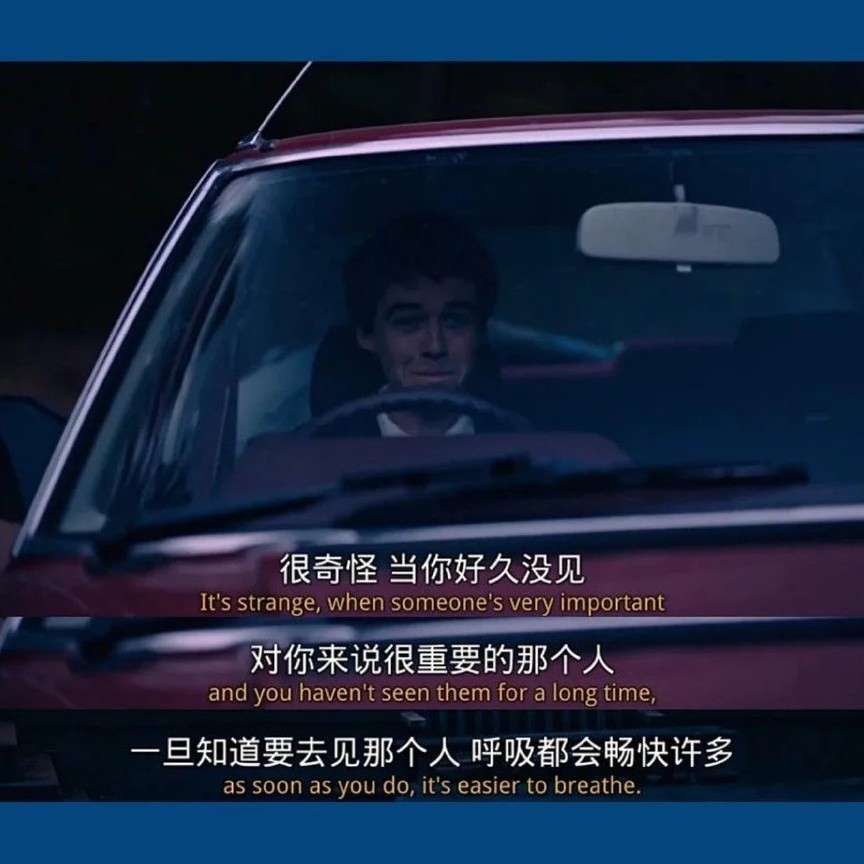 蓝桉的专辑