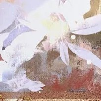 道理