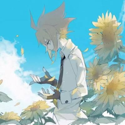 【我的骑士】安迷修