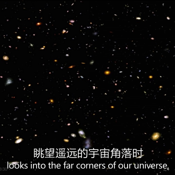 承受花的重量