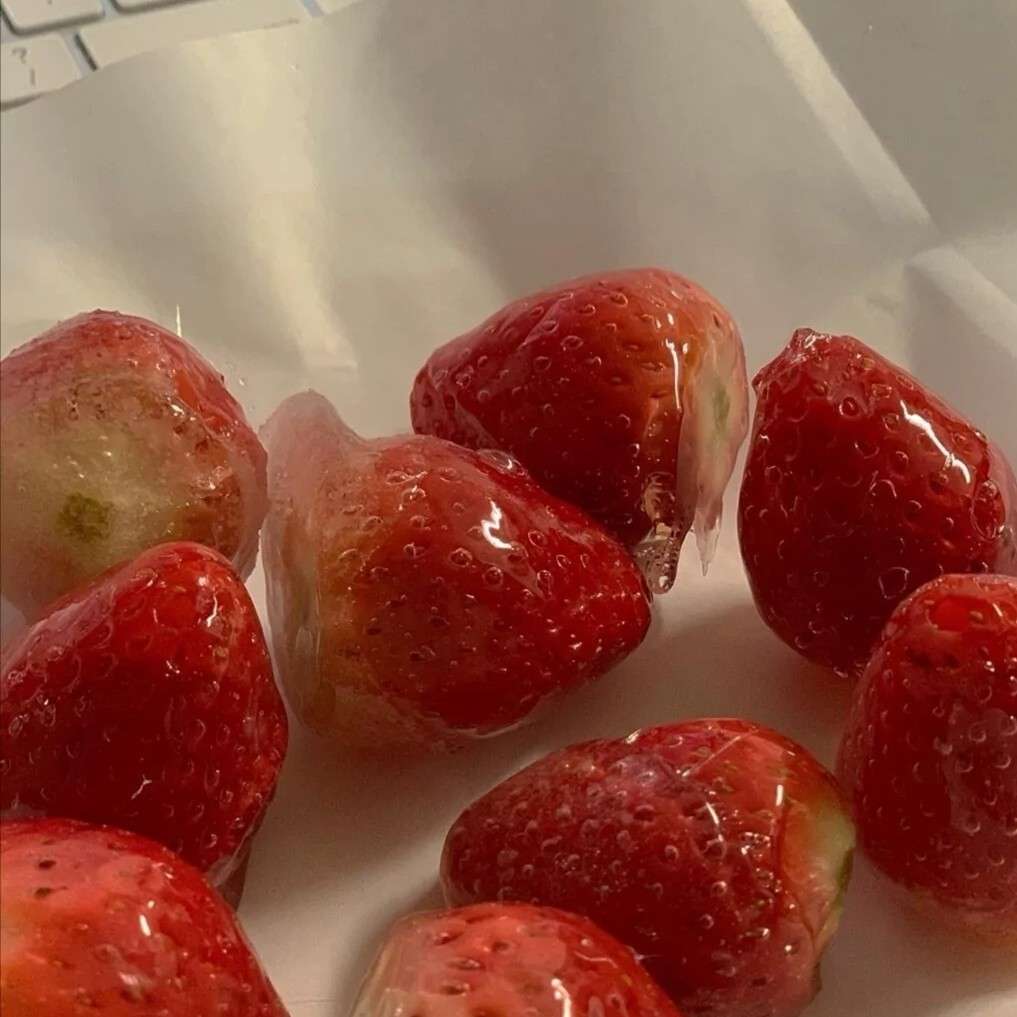 吃 草莓吗.