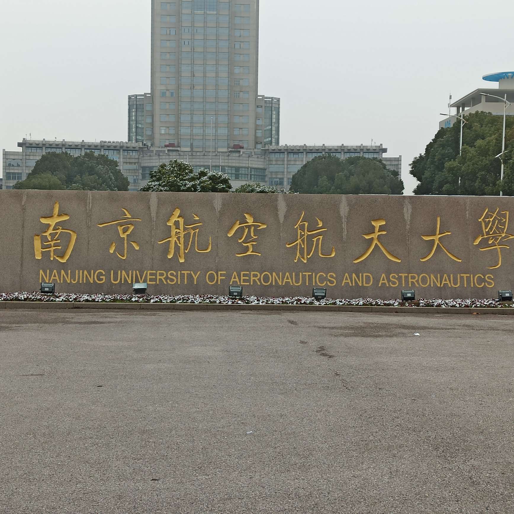 龙年生物文案
