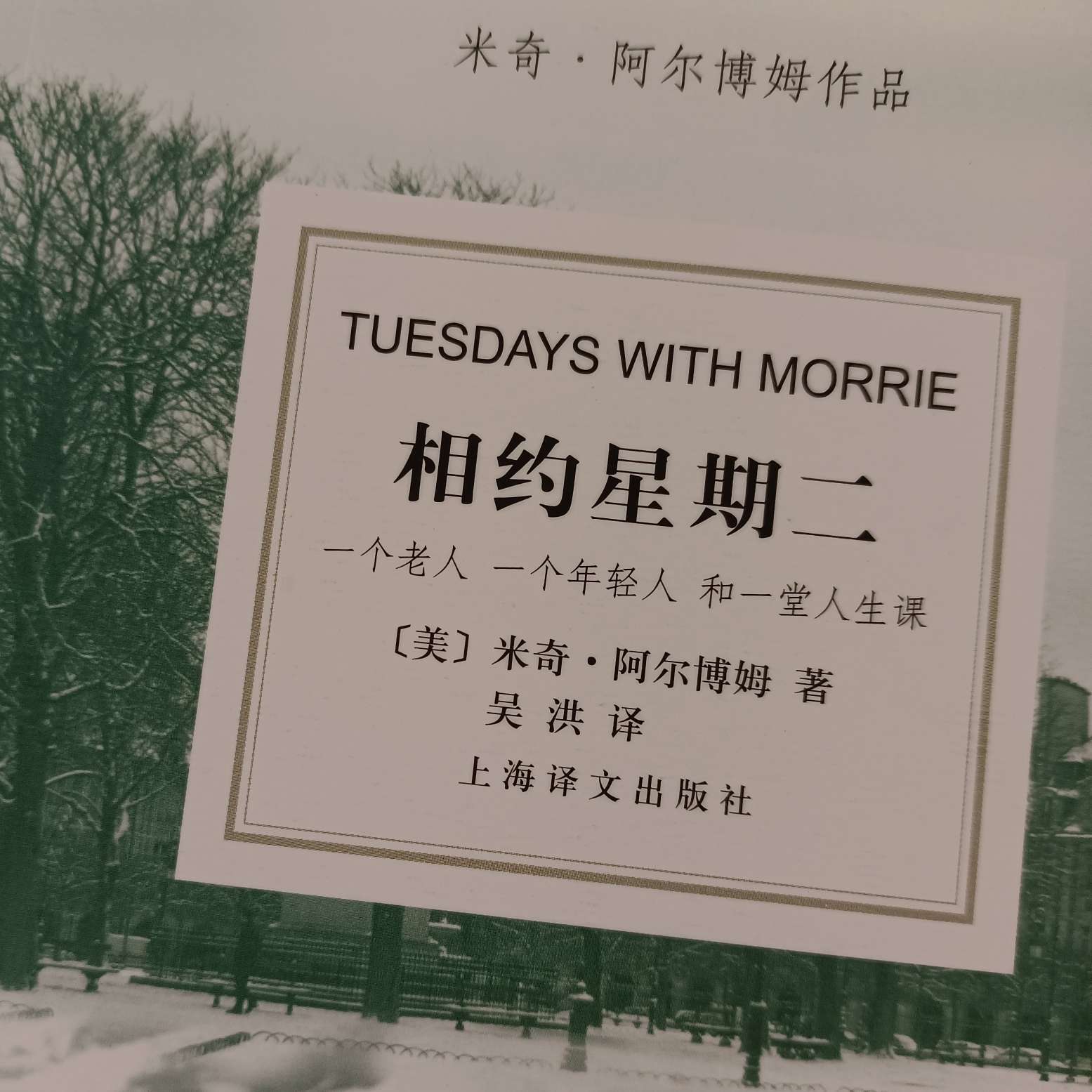 相约星期二