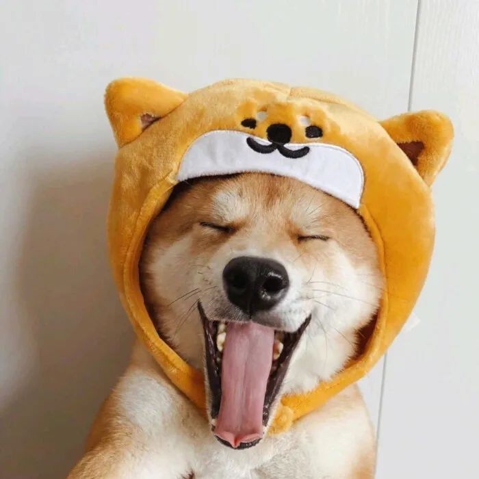 哒哒哒