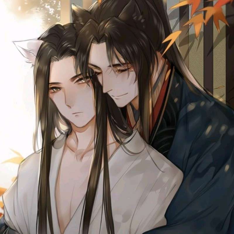 原耽专辑