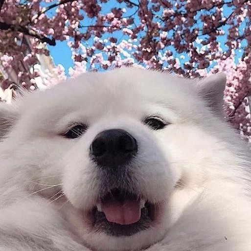 😬