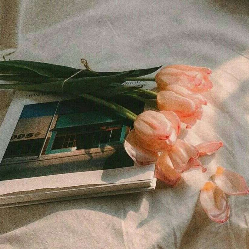 sky.延安的专辑