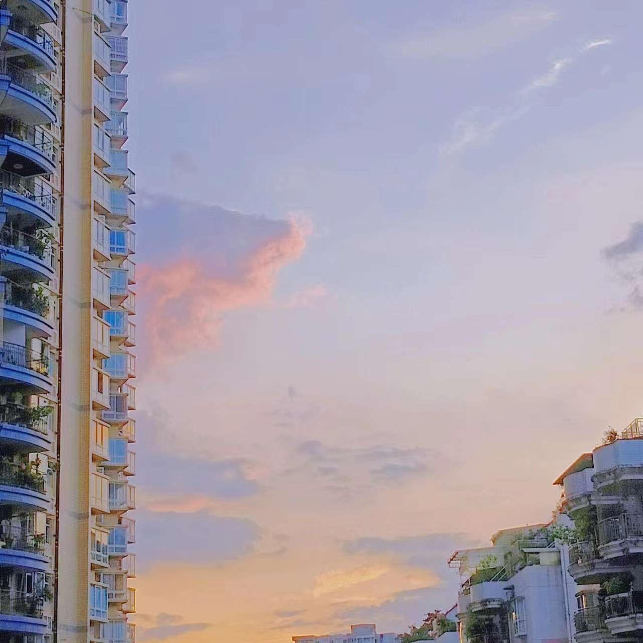 星河皓月的专辑