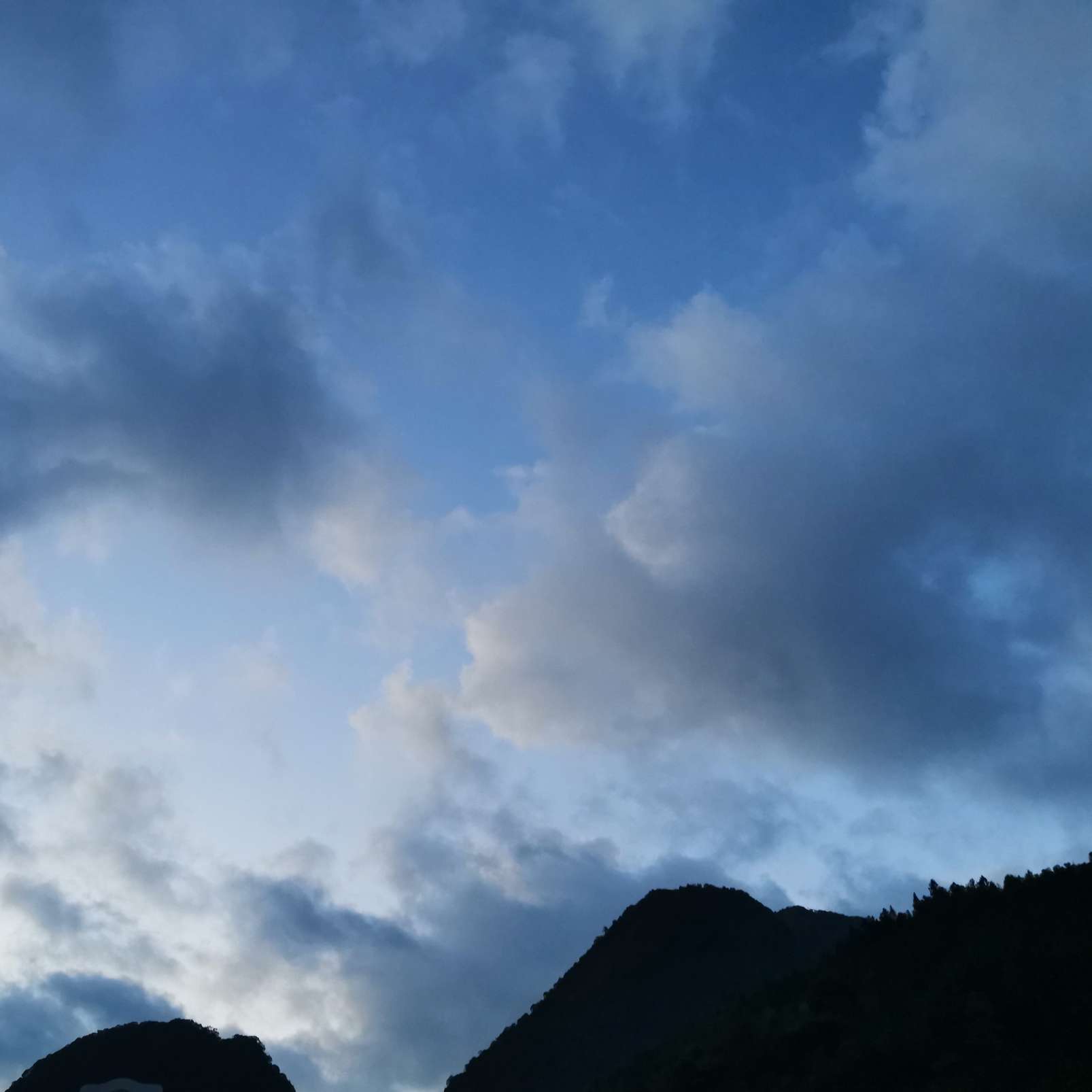 云深，不知归处