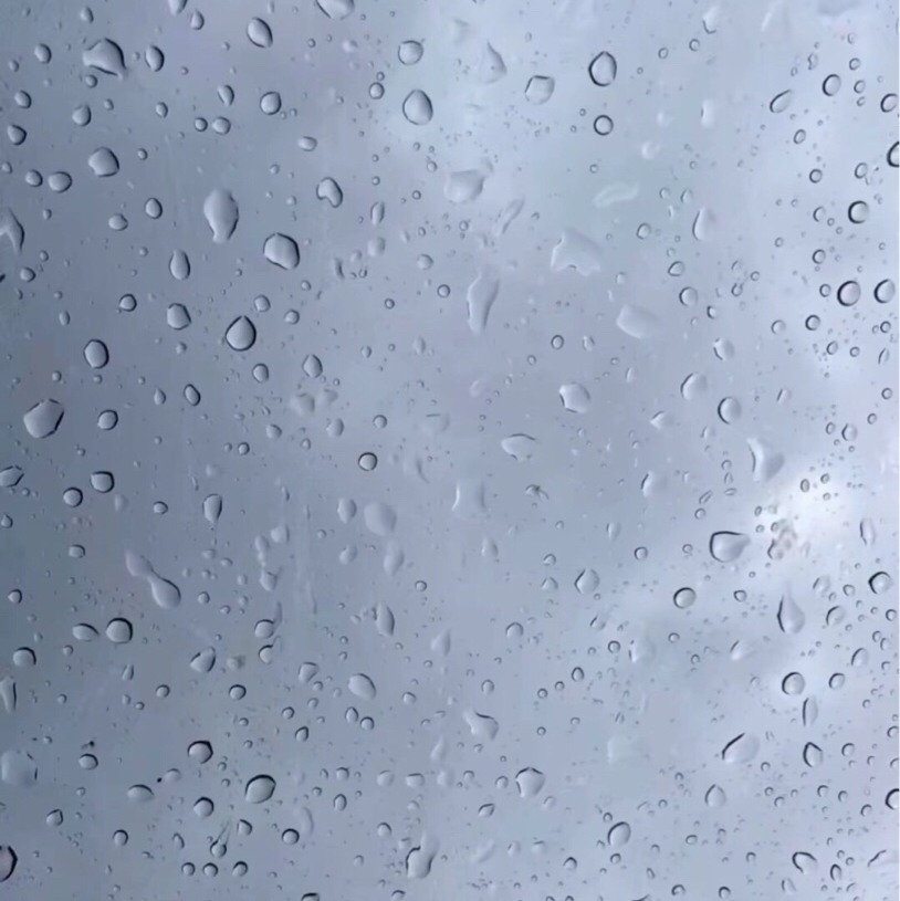 情感