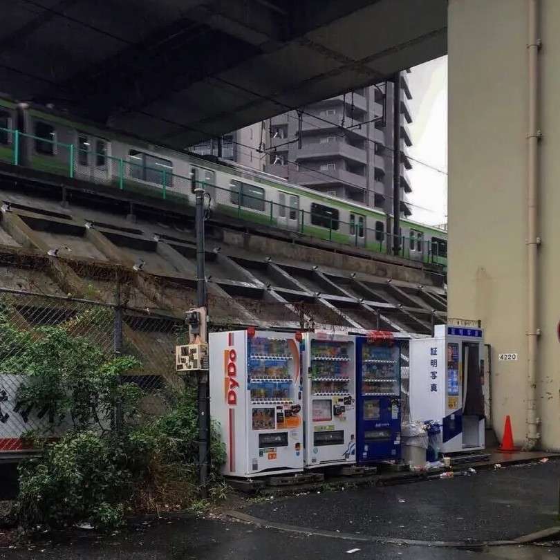 青春