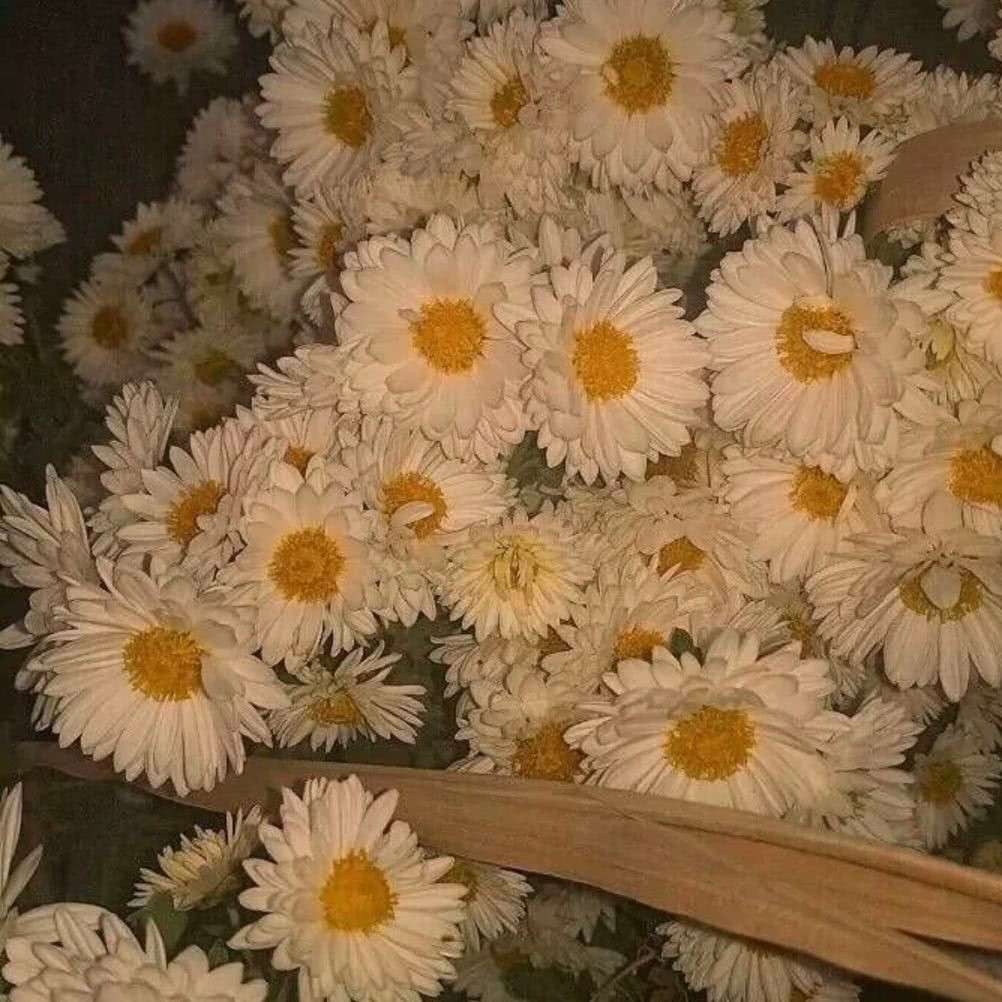 喜欢
