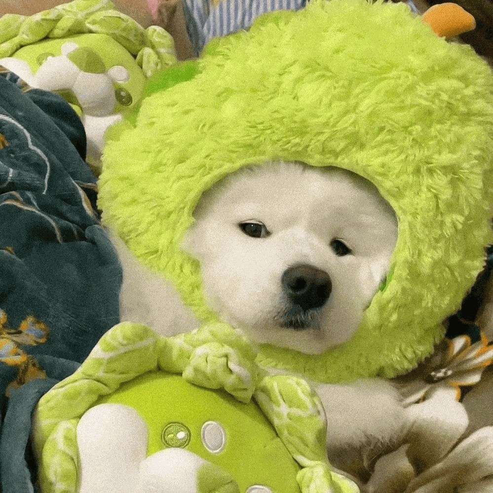 温馨
