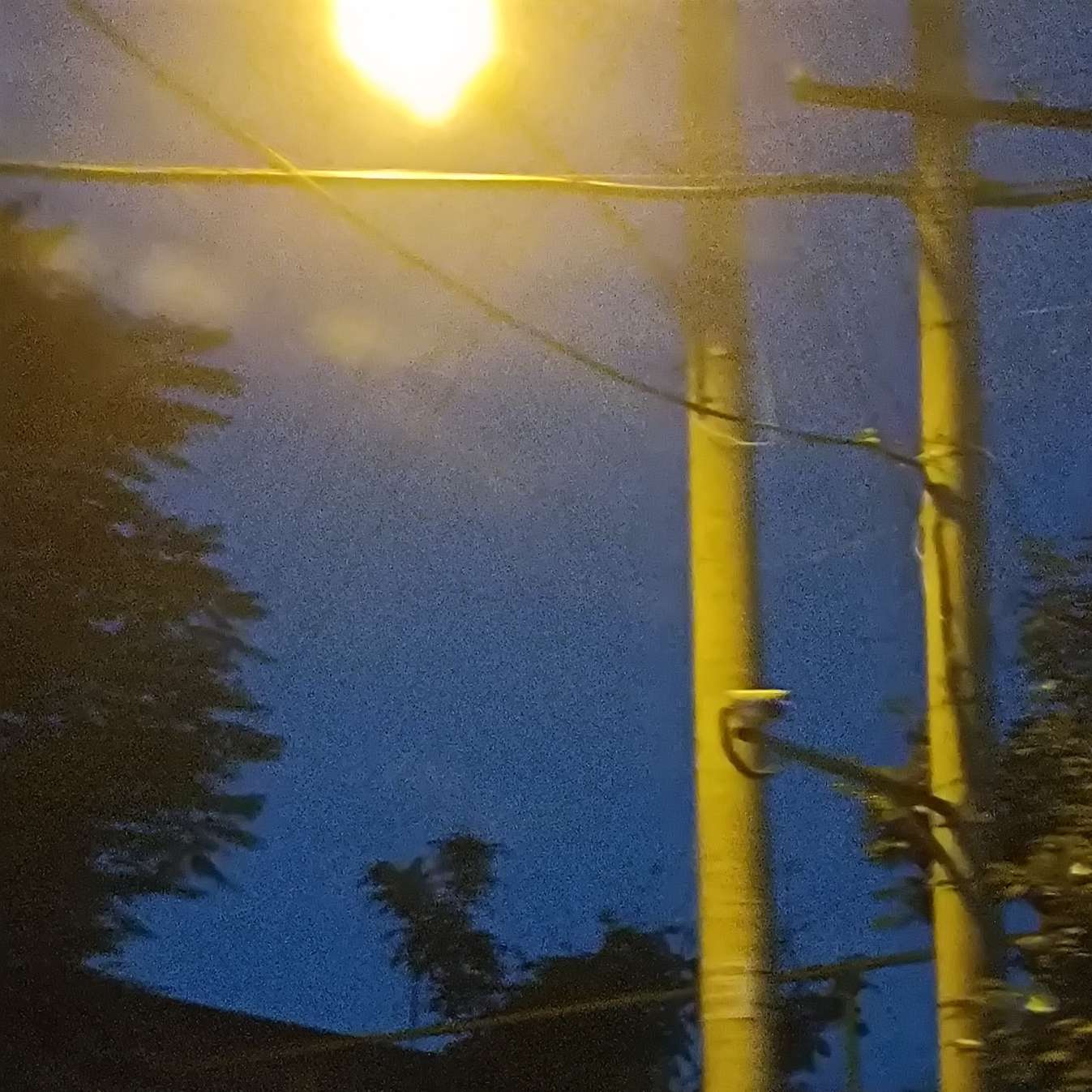 BF.阮的专辑