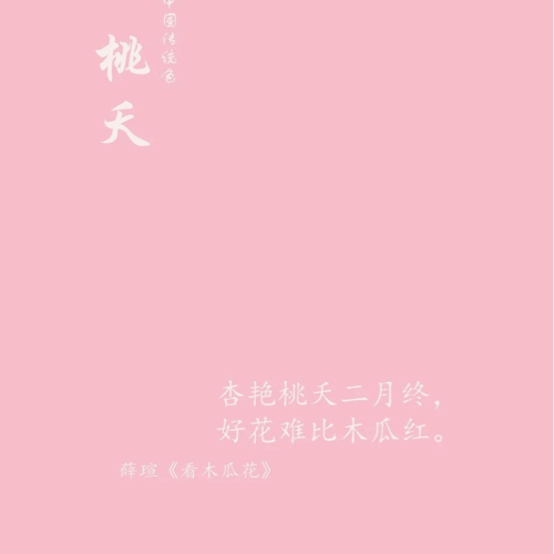 偶遇的小橘子