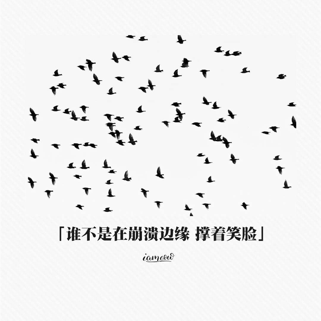 钗头凤的专辑