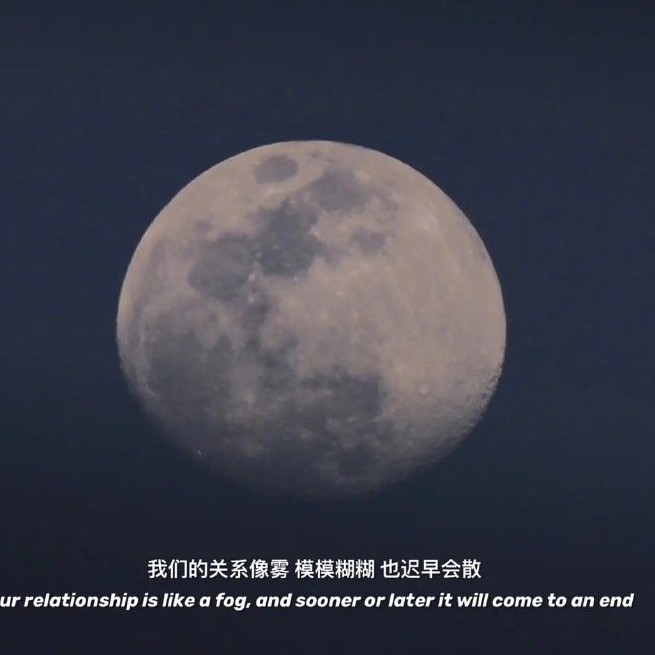 yang.的专辑