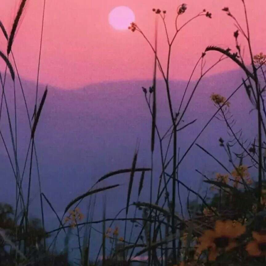 明星语录