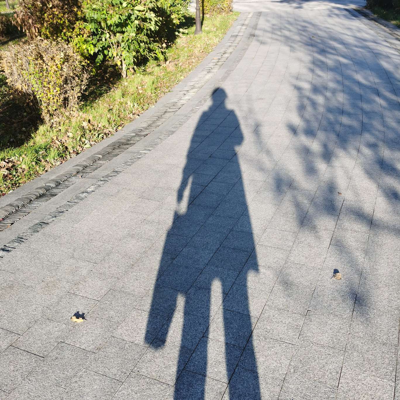 大学生活