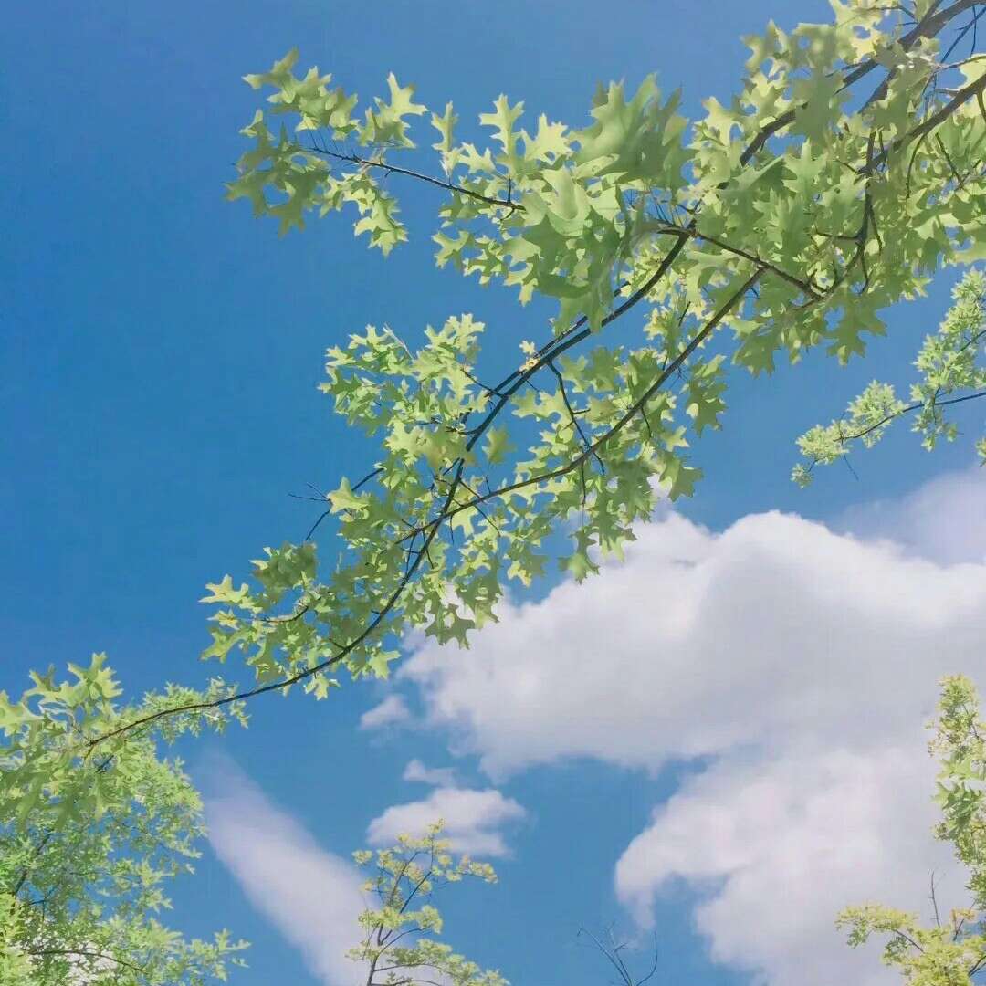 summer盛夏年龄