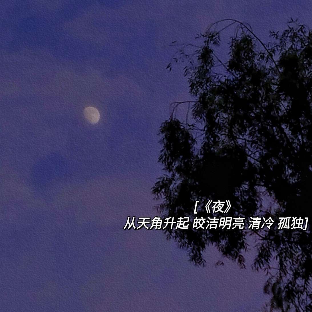 贝儿的专辑