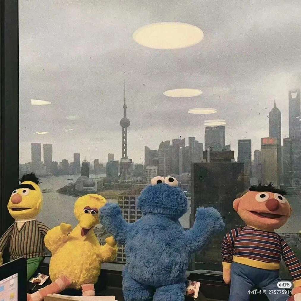 专收一切句子