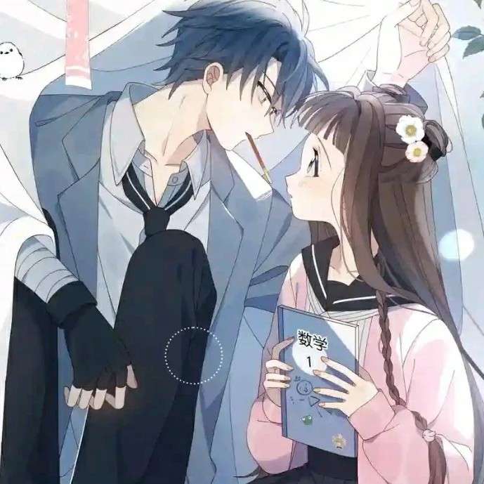 浪漫满屋子