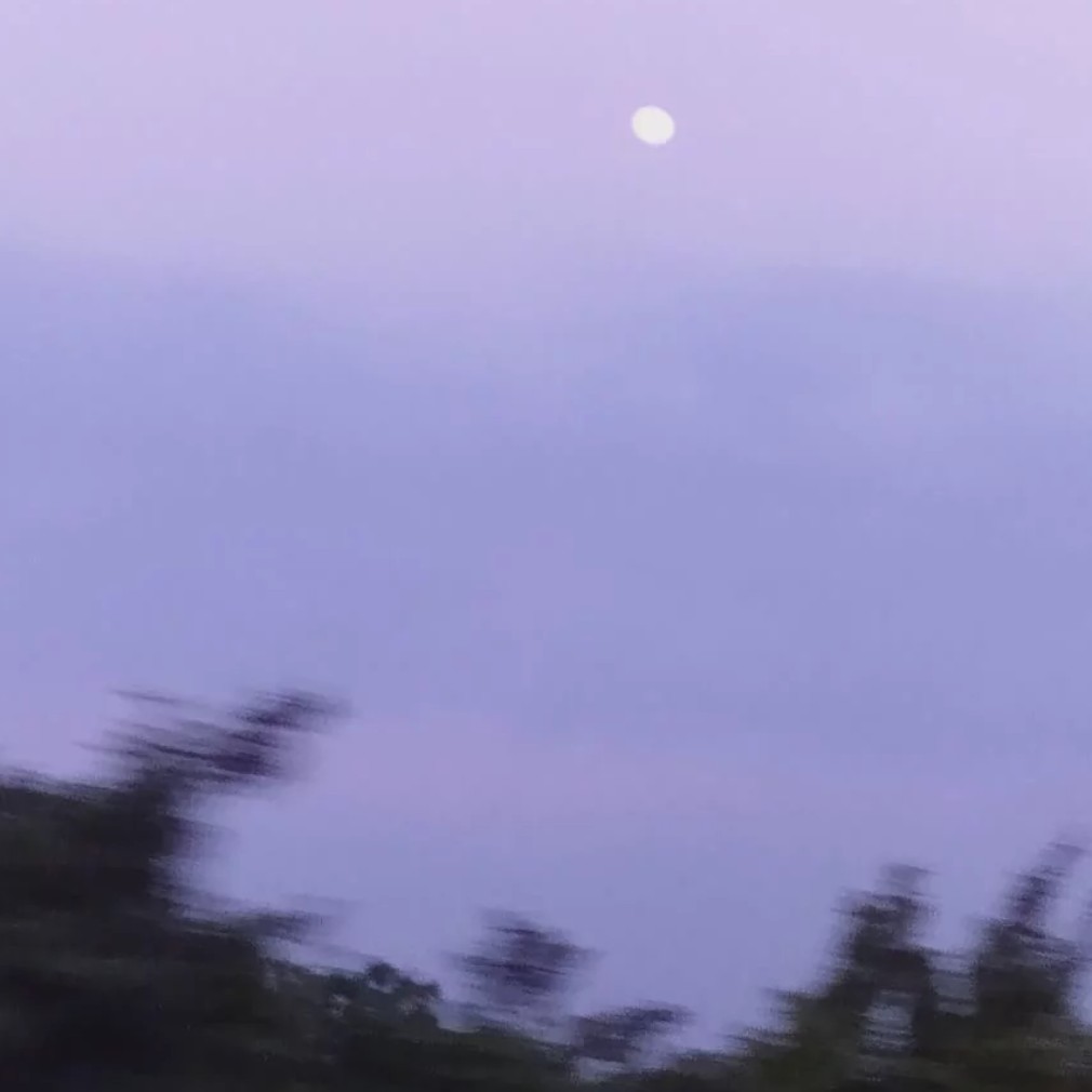 生命是大自然的奇迹