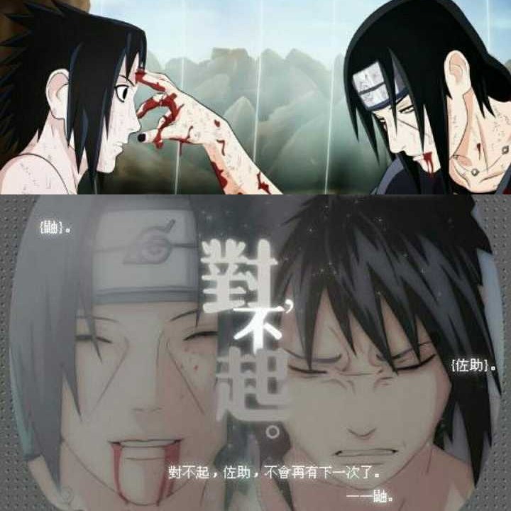 康康的专辑