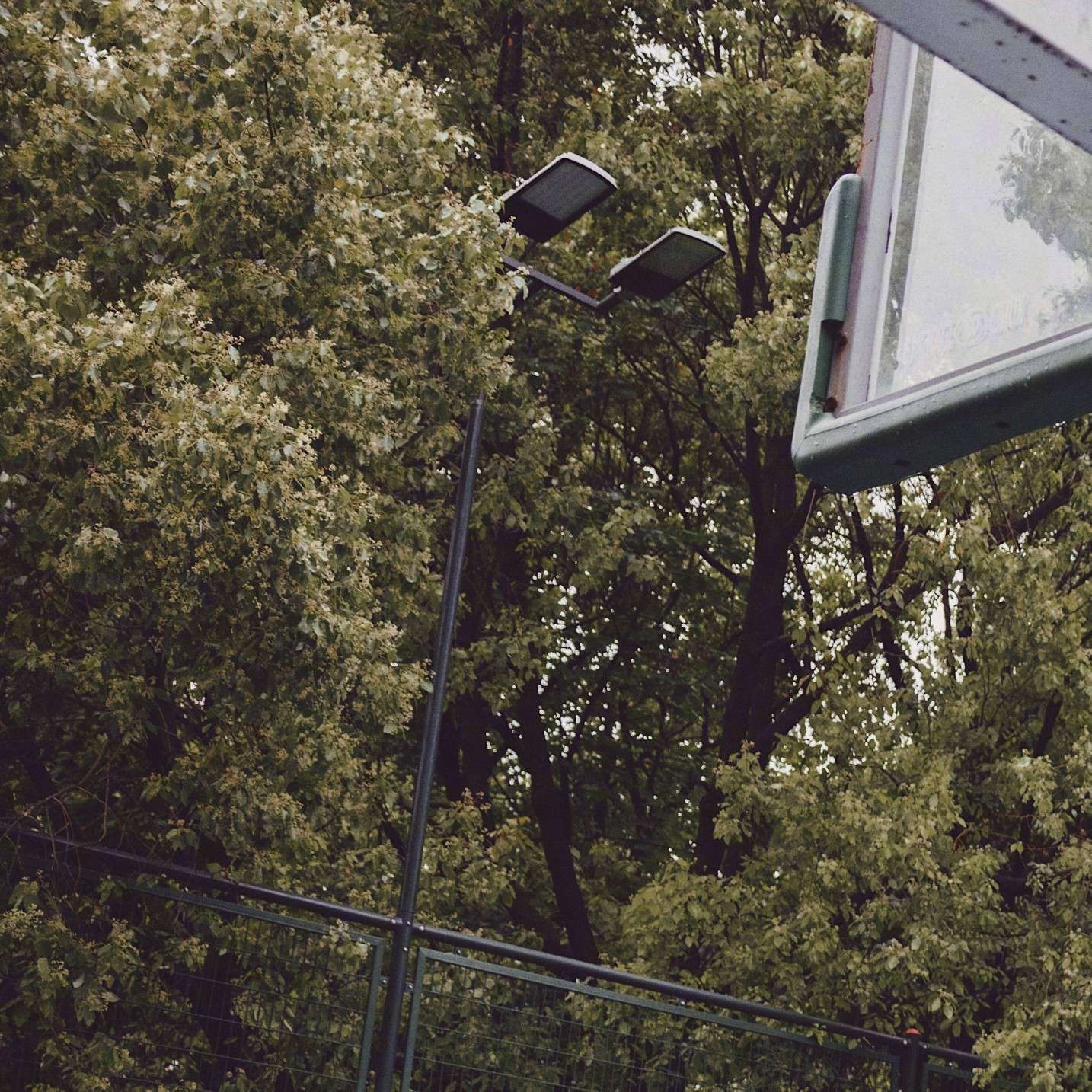 1的专辑