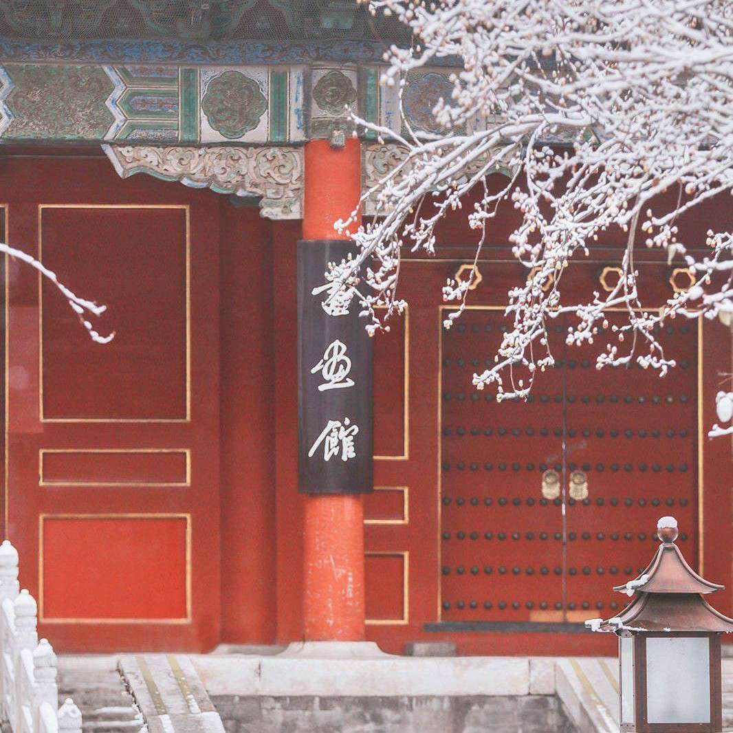 文