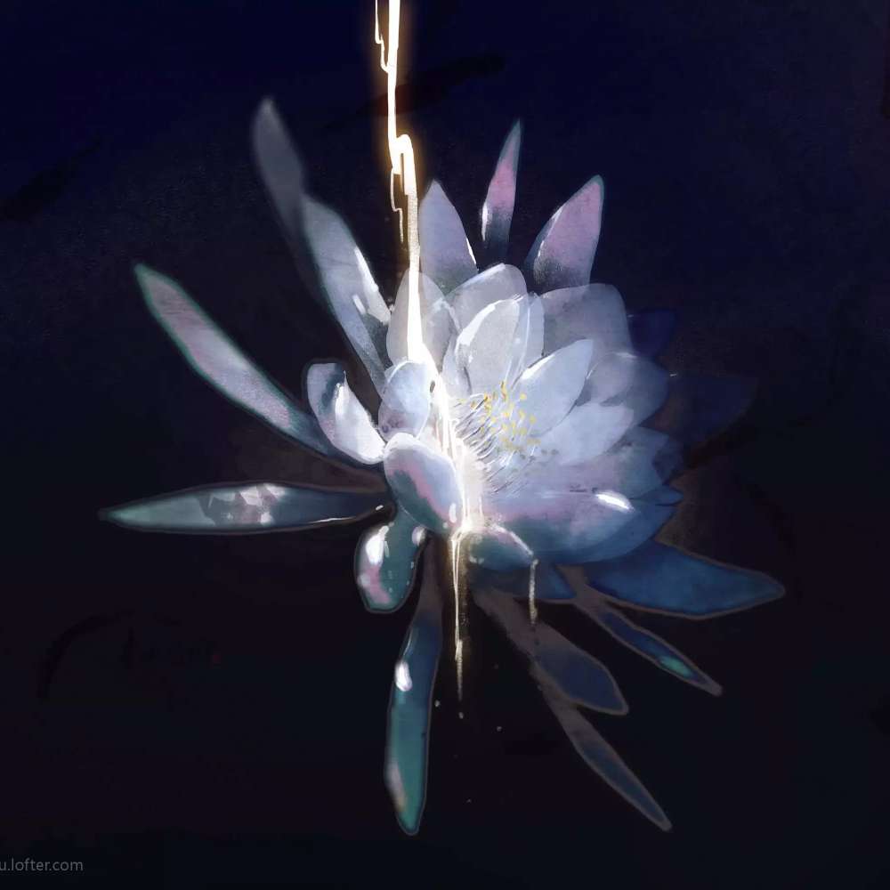 「还是睡觉」