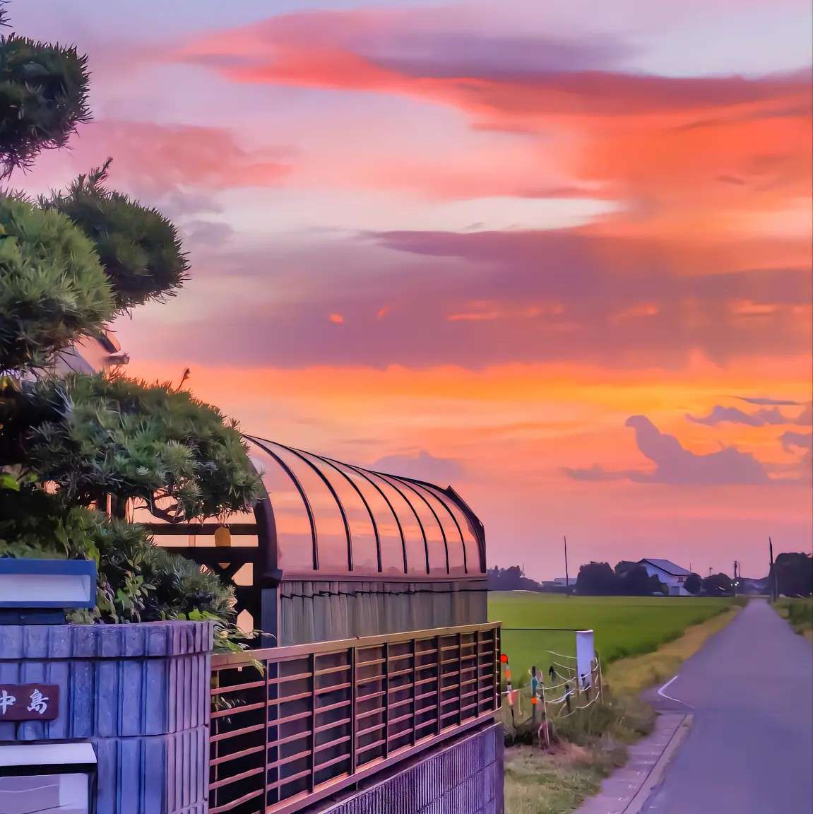 人间清醒