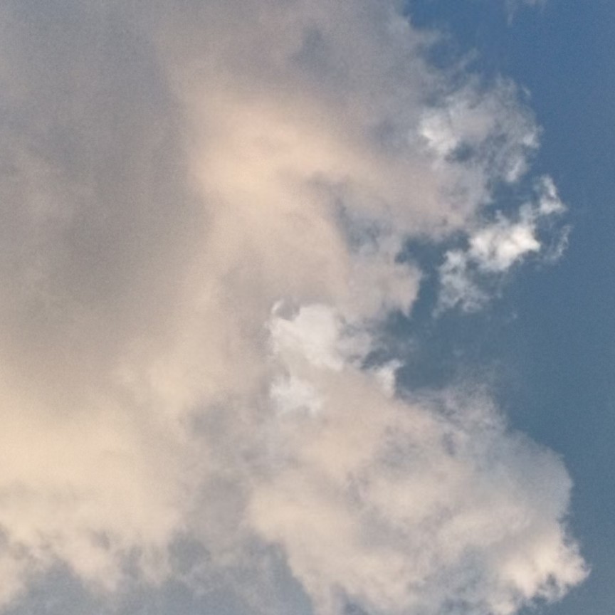 态度