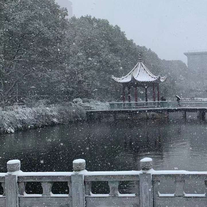 读诗