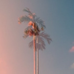 玖稚吖的专辑