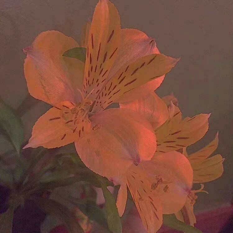 “那祝我们，得偿所愿”