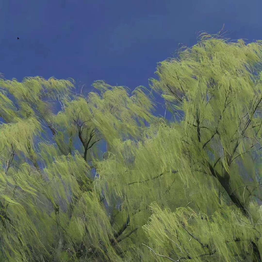 高质量文案.