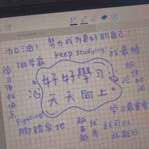 世间寥寥成真意