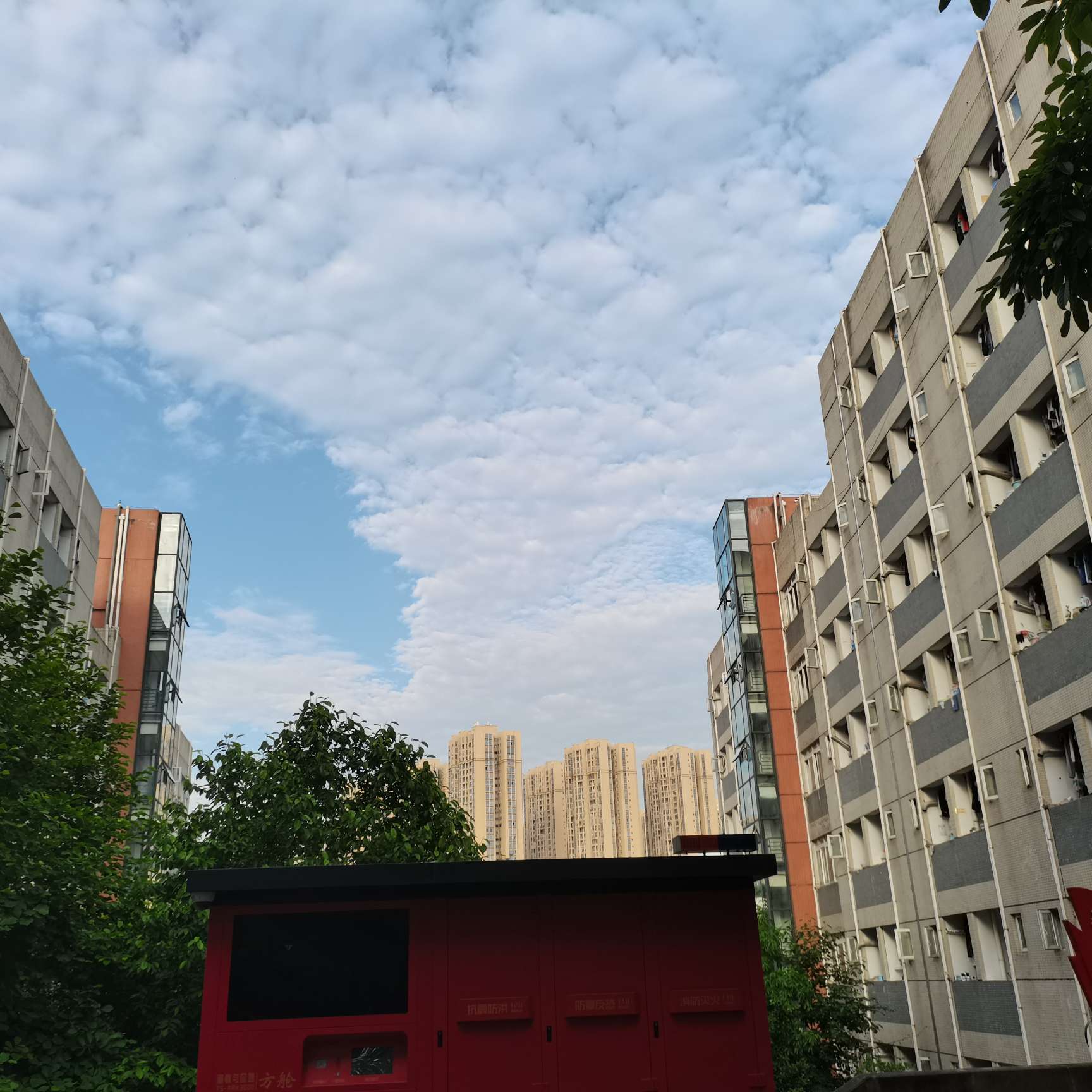 顾城