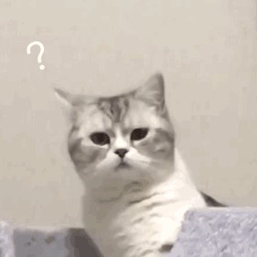 那些皮话