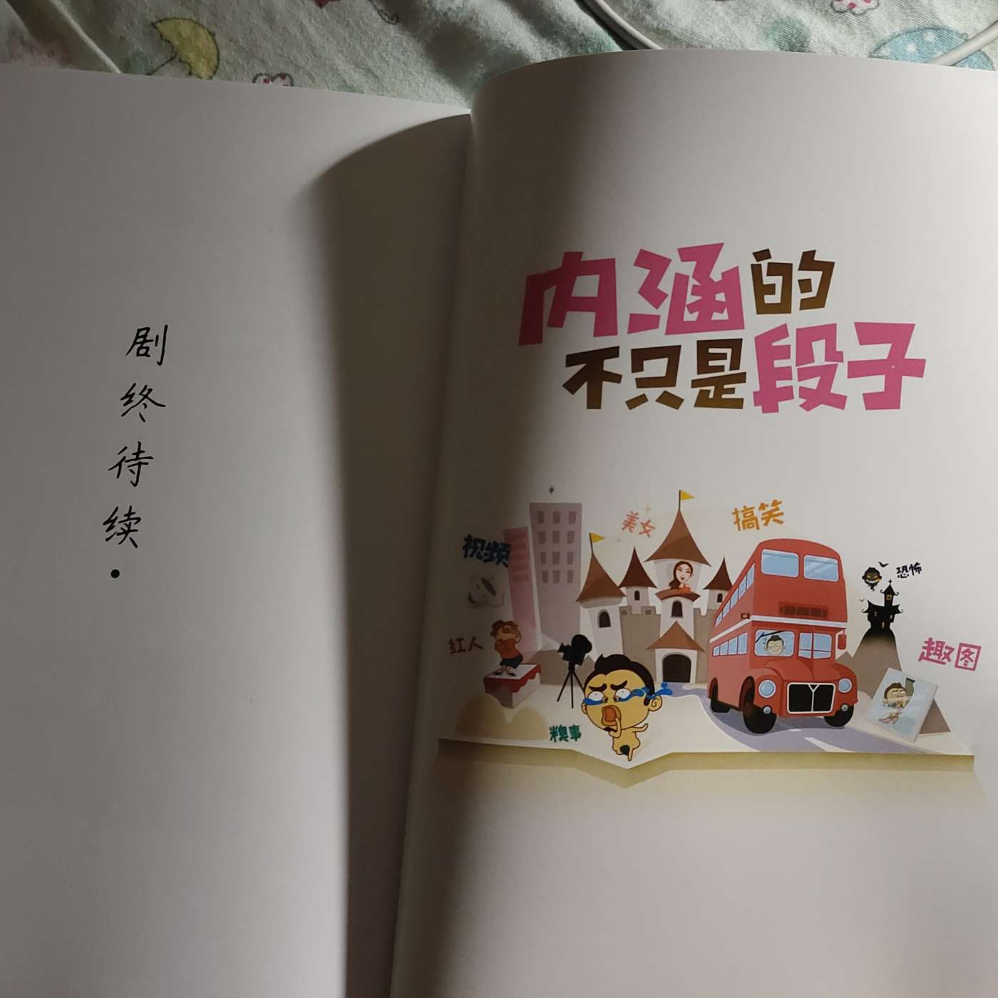 我在人间凑数的日子