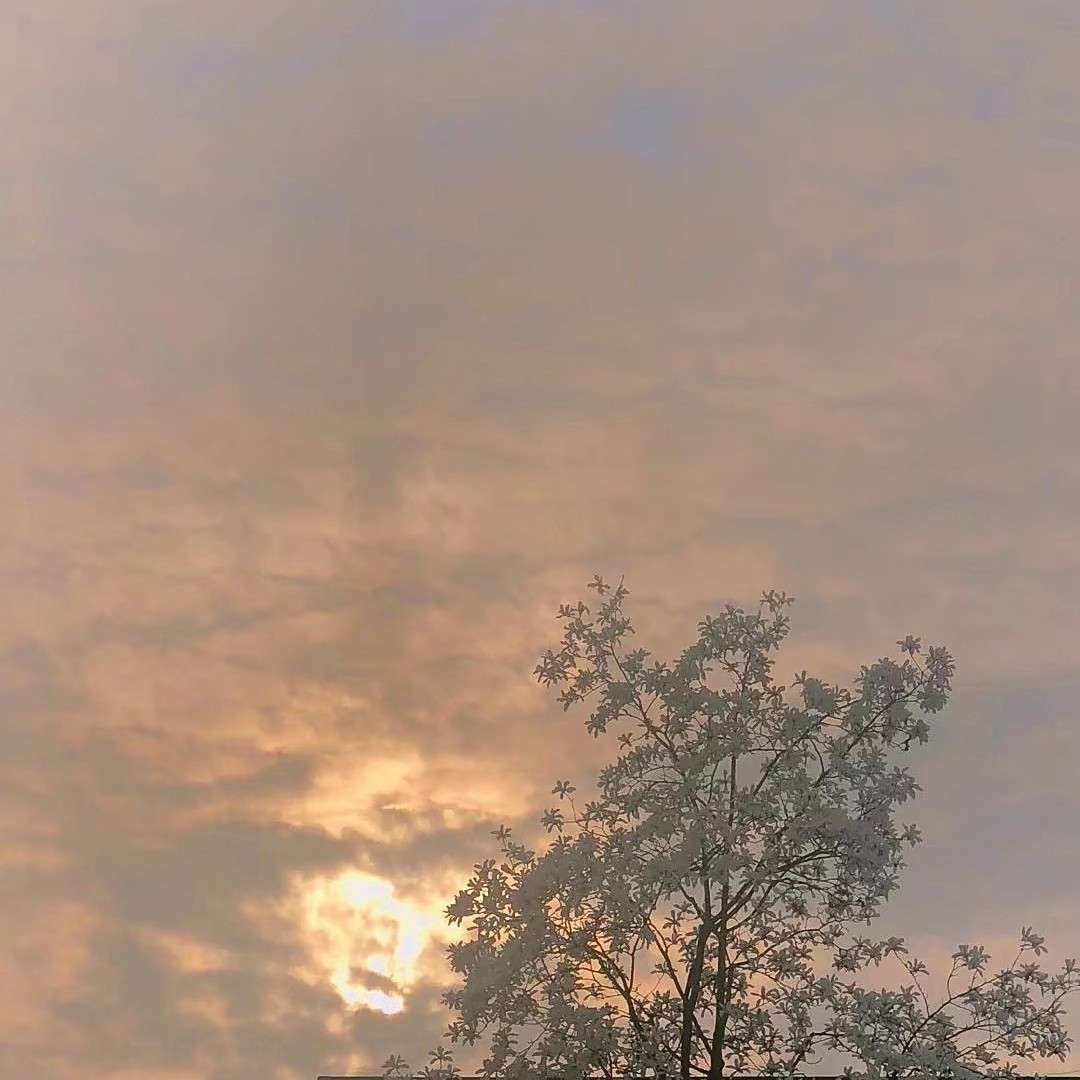 最爱的