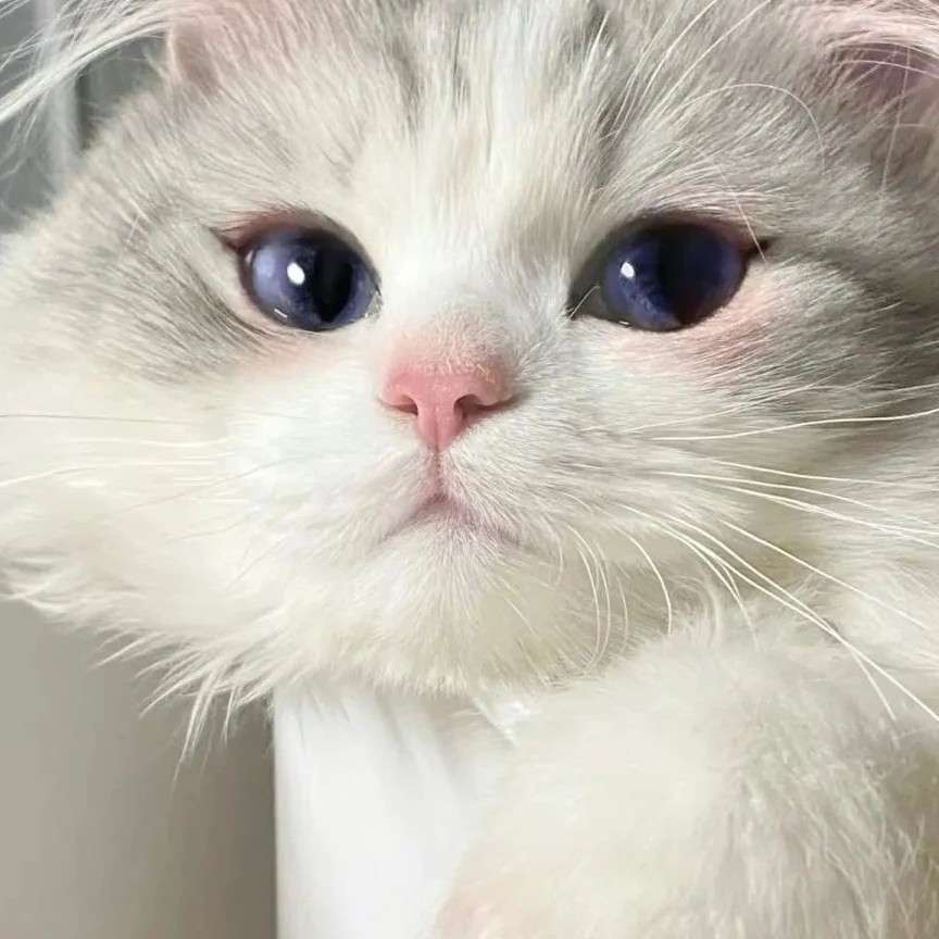 累了来看看呀