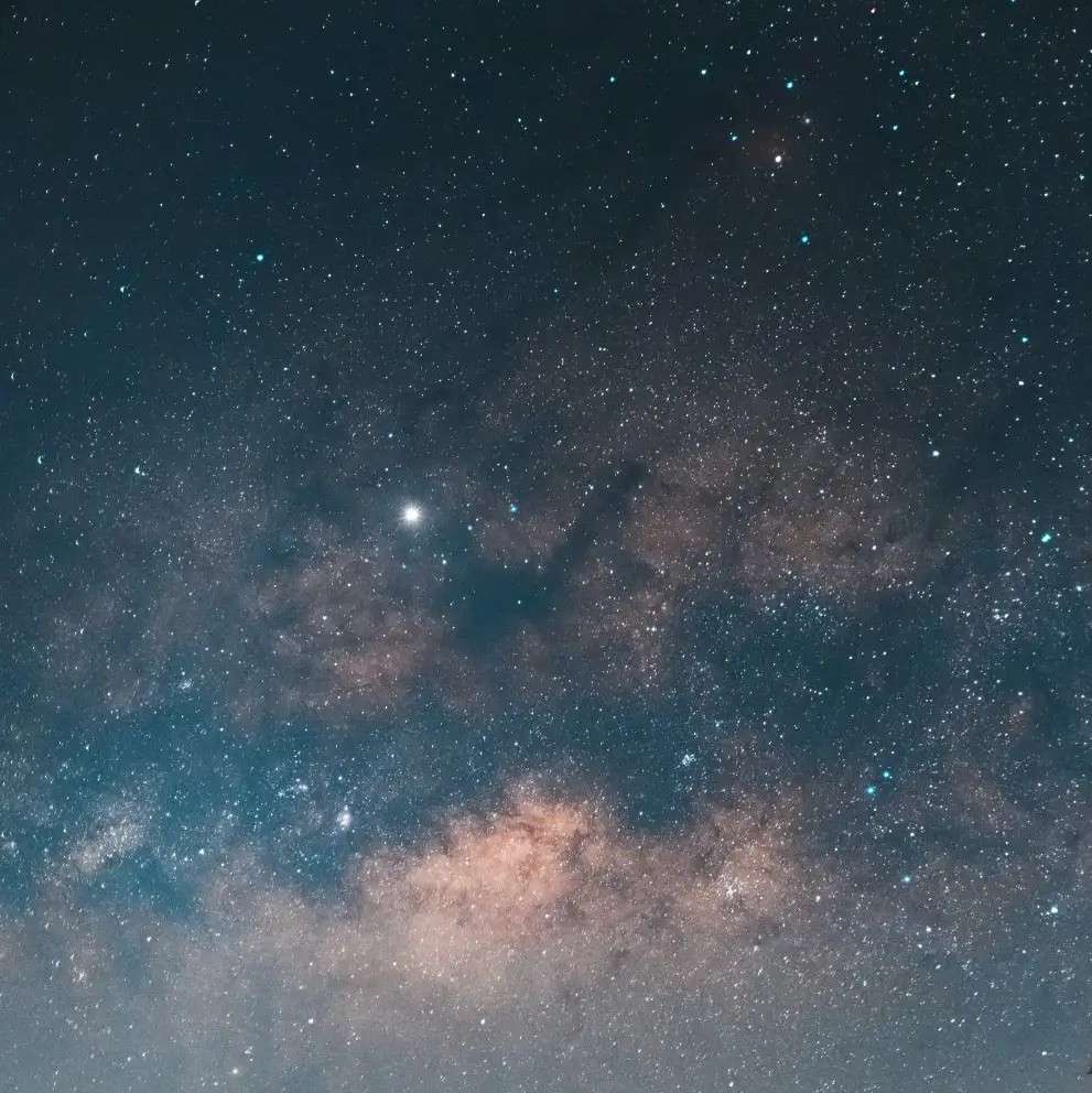羽念的心动