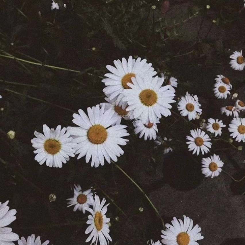 Desire.的专辑