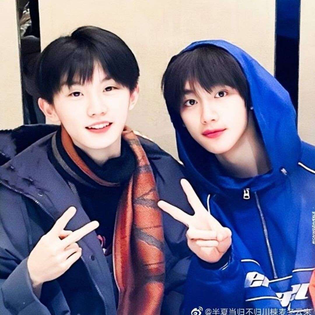 🐴🦊